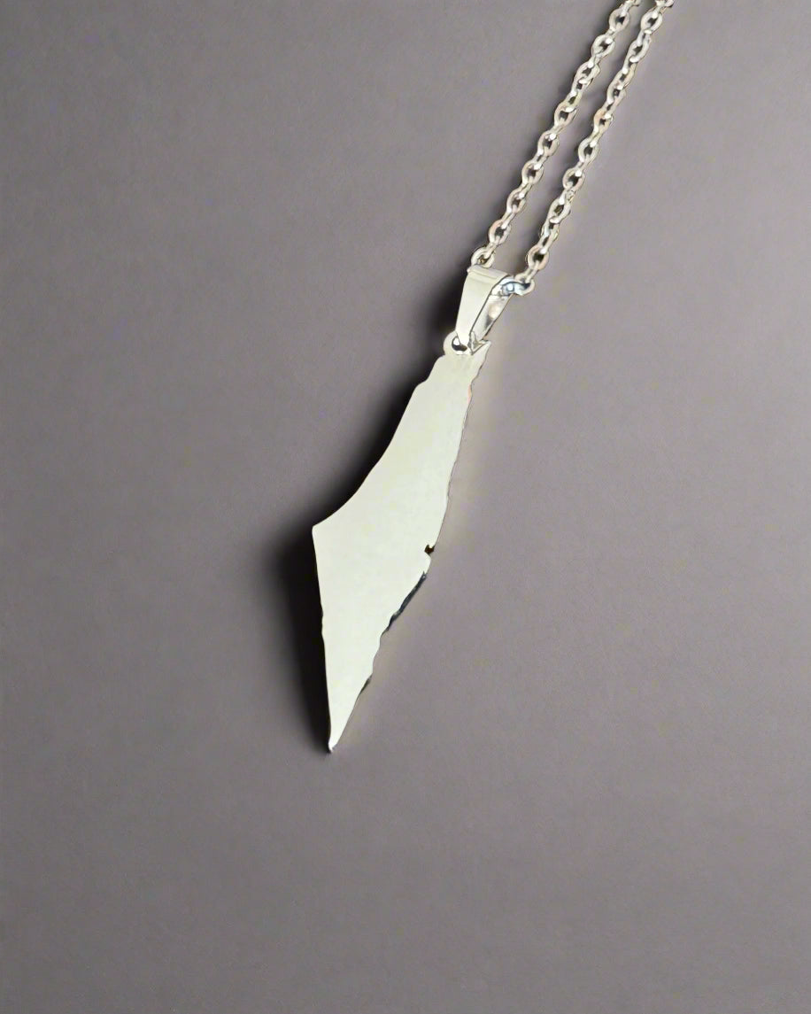 Palestine Map Necklace | Solid Fill Pendant in Silver & Gold - Palestine Jewelry
