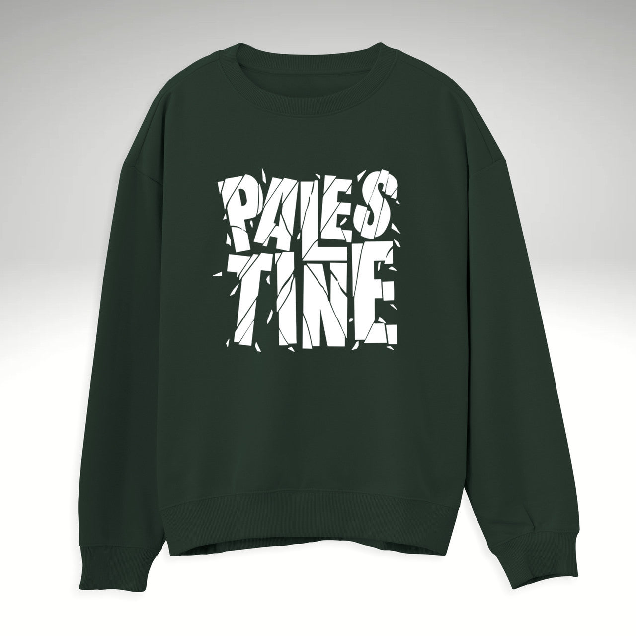Palestine Barbed Wire - Bold Typography | Sweatshirt