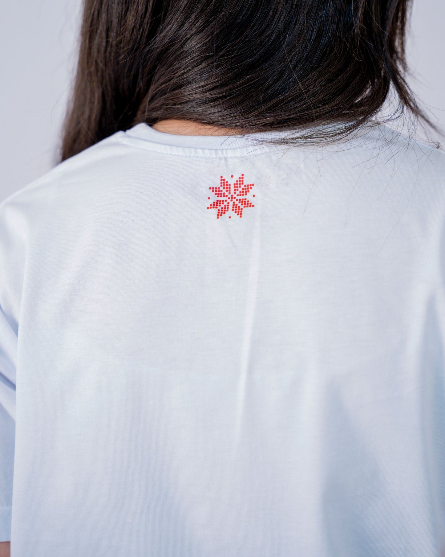 Falastin Map Tatreez T-Shirt – Handmade