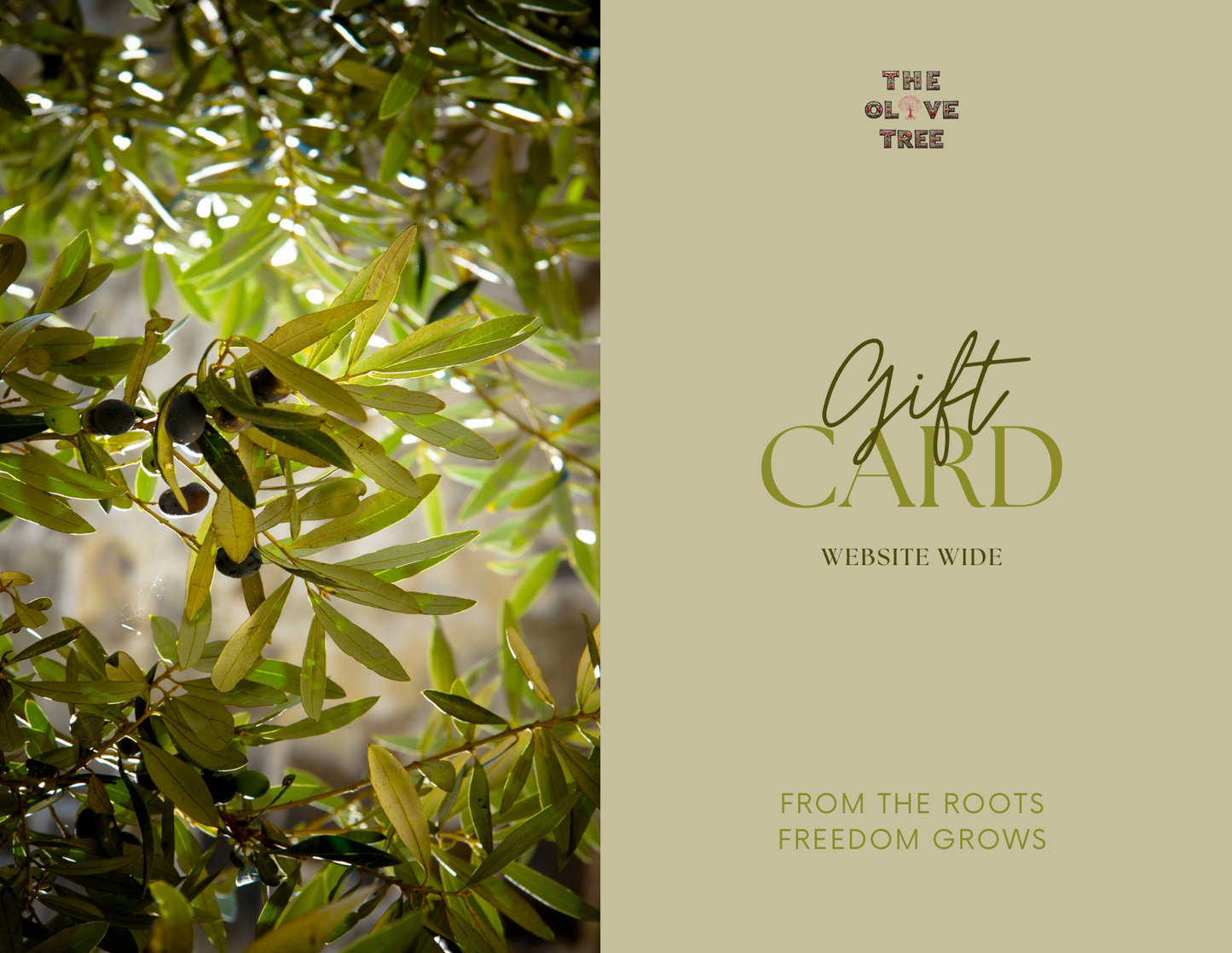 The Gift of Heritage - The Olive Tree Card