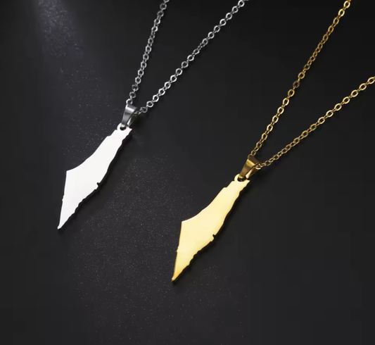 Palestine Map Necklace | Solid Fill Pendant in Silver & Gold - Palestine Jewelry