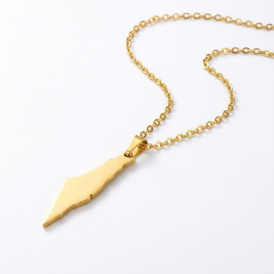 Palestine Map Necklace | Solid Fill Pendant in Silver & Gold - Palestine Jewelry